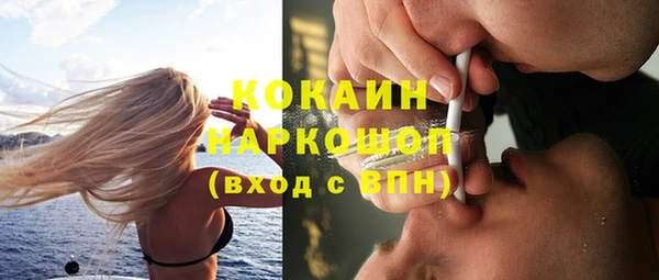 винт Алексин