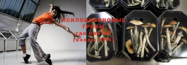 мяу мяу мука Пролетарск