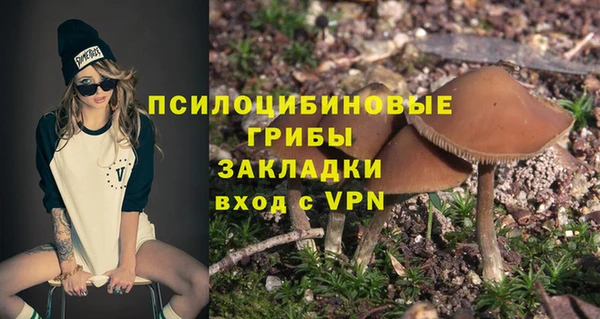 винт Алексин