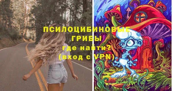 винт Алексин