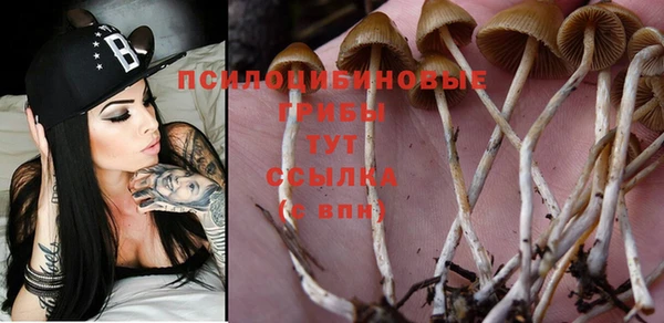 винт Алексин