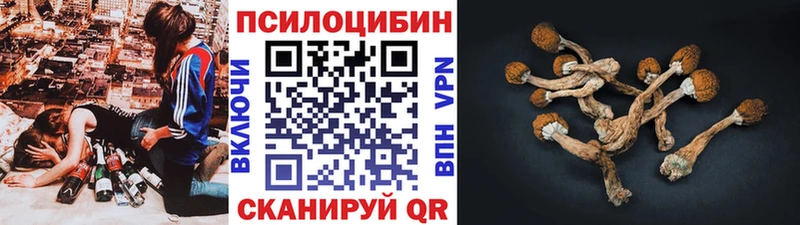 Псилоцибиновые грибы Psilocybe KRAKEN ССЫЛКА Дмитров что такое